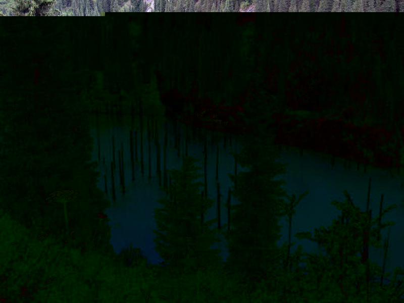 8个与众不同的森林,像来自外星球--置顶表情